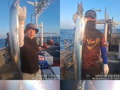 [완도] [완도 청산호] 26.08.22 씨알 3-5지급 갈치로 쿨러 가… 사진