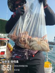 문어 따박따박 좋습니다  사진