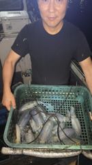 블루윙피싱 23일 팁런 무늬 조황 ^^ 사진