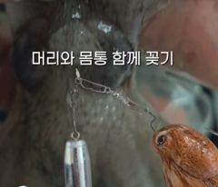 꽃게낚시 일년에 딱10일 시도한번해보세요~ 사진