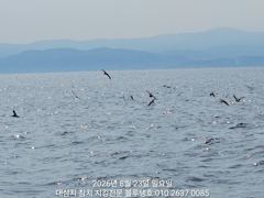[경주] 캐스팅 게임 대삼치들 입질상황! 사진