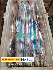 [[대림낚시바다호 ]] 왕갈치 조황 좋아요~~내일 예약가능 사진