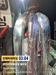 [진해] [갈치/텐빈/텐야]24일입항~오늘은요만큼[화.수.목.금]예약가능 사진