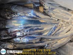 실시간ㅡ내만칼치ㅡ엄청나게 올라오네요.물반.칼치반 (예약가능)