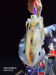 [통영] 팁런) 낚시도즐기고 이벤트도 당첨되자~ 사진