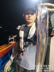 은빛 대갈치 사진