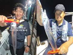 [진해] 내만갈치 물반 갈치반 시알 좋고~~예약가능 사진