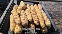 군산 프로호 8월26일 광어다운샷 조황입니다! 사진