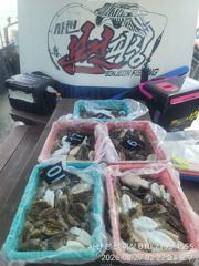 갑오징어!오늘도 굿~금토일 주말 모십니다. 사진