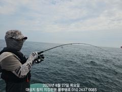캄캄한 뇌우속에서...대삼치들은 물어 늘어지고...! 사진