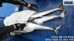 대삼치 퍽퍽합니다디 사진