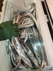 내만갈치)갈치가 요기 다있었구나?!포획성공~예약중 사진