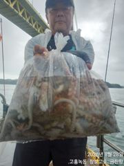 녹동돌문어 계속되는 조황~