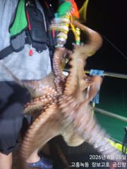 고흥장보고호 선상낚시 조황 사진