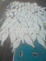 28일, 날이면 날마다  쏟아지는 대광어들.  웬 광어가 이리도 나오는지~내일도 갑니다~  군산 범고래호 