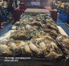 [격포] 8월27일 부안 한아름호 꽃게낚시