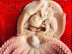 공현진 22인승 뉴창명호 대왕문어 조황