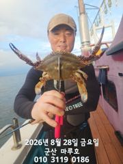 8월 28일 야간 꽃게 낚시  실시간 조항~~