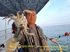 꽃게 낚시  조황 입니다