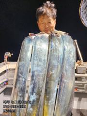 [[제주 뉴그린호(2호) 8월 28일 야간갈치 조황]]
