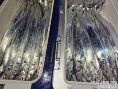 29일새벽,내만칼치 씨알커지고 3지3지반까지 미친입질폭팔~일욜예약가능~