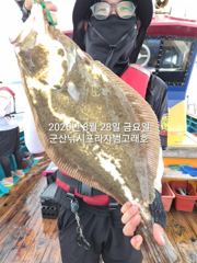28일, 대광어 참 무쟈게 나오네요. 웬 광어가 이리도 나오는지~대대박~내일도 갑니다~ 군산 범고래호
