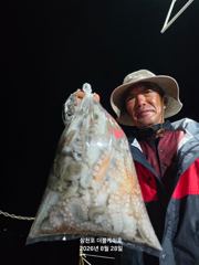 삼천포 문어조황! 주간반, 야간반 매일출조!