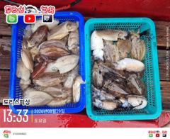 [사천] 내만에..웬 한치가..내일자리여유