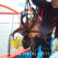 암초 포인트 문어 낚시