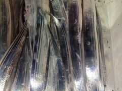 [진해] 씨알좋아진내만갈치3지급까지줄~줄쿨러만~당