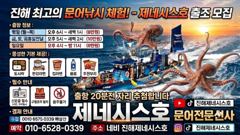 [진해] 문어] 일요일 야간문어 예약가능(오후4시~11시) 문어 뜯으러 …