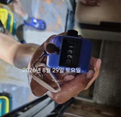 [진해] 팁런무늬무니!!!3자리수!!장원41수!!내일 예약가능