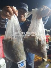 28일 홈런호 야간문어 언제나 대박 마무리 조황 입니다