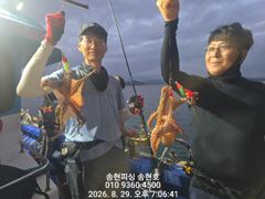 [통영] 통영 송현호))돌문어 실시간 중치급들 계속 올라옵니다