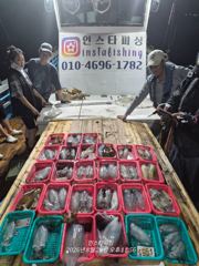 (東)동해조황 - 강구 인스타피싱 ~ 무늬팁런 평일,주말 모두 예약가능합니다 사진