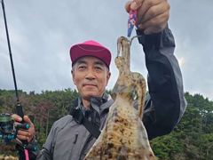 무늬는 키로로 쭉~쭉, 돌문어는 쑥~쑥 예약가능