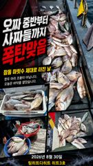 [거제] 선상흘림/하늘은 소나기 바다는 참돔소나기,막 ~쏟아졌어요!!