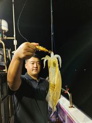 무늬 조황 사진