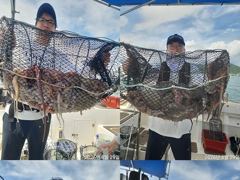 [진해] 문어,1500,1200외개인,25수,15수,14수,왕창,,(예약…