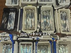 [진해] 내만갈치 씨알 마릿수 좋아요~~~예약가능