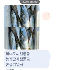 [마산] 마산 원전 선상낚시터 일요일 주간 조황 고등어 사이즈 굿!!
