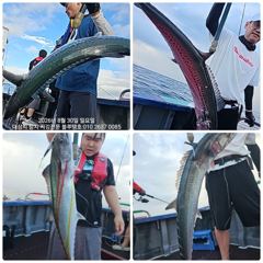 (東)동해조황 - 22인승 창명호 내일 화요일(1일) 대왕문어 출조