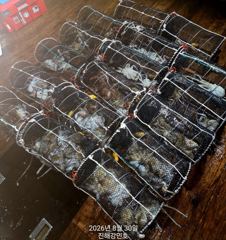 문어(기록갱신) 장원 30수 27수 25수 23수 22수~호조황~강민호(1일 예약)