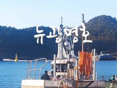 [VIP 광명호] 기상 좋은 오늘, 내일 먼바다 큰넘들 잡으려 갑니다. -- 오늘(화), 내일(수) - 자리 여유 --