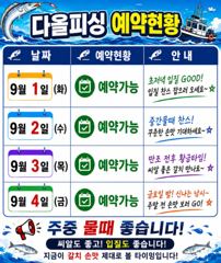 내만갈치)8월 마지막날 기분좋게 만쿨~~씨알꾸준