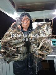 8/30일,야간꽃게 연일 빅히트~ "오늘도 야간출조"~날마다 좋…