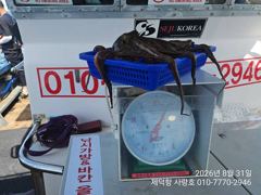 [진해] "여밭돌문어" 1000g1000g1000g900g외 키로들과 개…