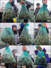 조황사진 - ♡쭈.갑♡ 9월 1일 굿~! 조황~!^^ - 인천제일바다낚시 | 인천배낚시, 인천쭈꾸미낚시