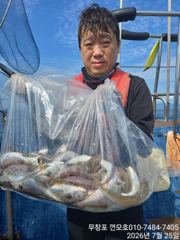 오늘의조황 - 7월25일 3분 모시고 백조기 조황 입니다. - 무창포 껀모호,배낚시,바다낚시 사진