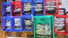 간절곶피싱 팀런 무늬 ~힛또힛또 ~ 사진